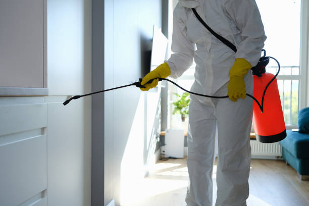 Best Emergency Mold Removal  in Sayre, OK