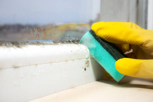 Water Damage Restoration in Sayre, OK