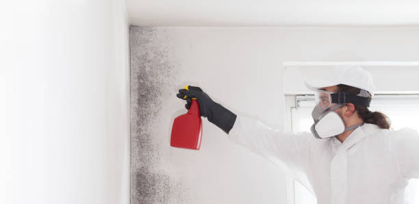 Best Mold Testing  in Sayre, OK