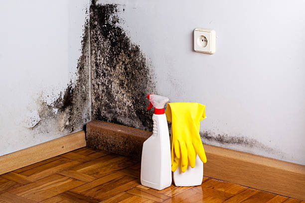 Best Crawl Space Mold Removal  in Sayre, OK
